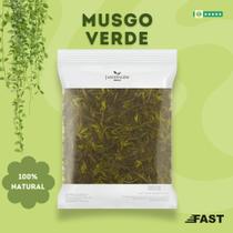 Musgo Verde 150g (3Lts) para Orquídeas, Decoração, Terrários, Jardins e Retenção de Umidade Musgo Verde 150g (3Lts) para Orquídeas, Decoração, Terrários, Jardins e Retenção de Umidade