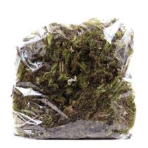 Musgo Verde Pc 2 Lts Para Decoração Flores Secas Decorar