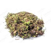 Musgo Verde Pc 2 Lts Para Orquideas e Decoração Substrato