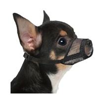 Muzzle Anti-Mordida Em Malha Para Cães De Pequeno E Médio Porte Com Focinho Curto, Chihuahua,