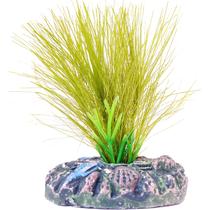 Mydor planta plastica mayaca sellowiana sint green 13cm - un
