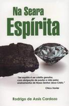 Na Seara Espirita 1 ed - DIDIER