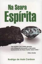 Na Seara Espírita