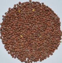 Nabão - 1Kg Nabão - 1Kg