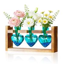 Nacome Terrário de Plantas em Formato de Coração com 3 Vasos de Vidro Nacome Terrário de Plantas em Formato de Coração com 3 Vasos de Vidro