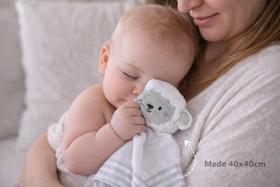 Naninha Tecido Fralda Soft Algodão Enxoval Bebê Cheirinho 40x40cm Ovelha Pelucia Bordada Maternidade