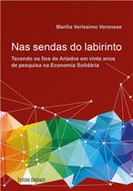 Nas sendas do labirinto: Tecendo os fios de Ariadne vinte anos pesquisa na economia solidaria