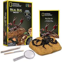 NATIONAL GEOGRAPHIC Real Bug Dig Kit - Desenterrar 3 Insetos Reais, incluindo Aranha, Besouro da Fortuna e Escorpião - Grande presente de Ciência STEM