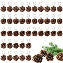 Natural Mini Pine Cones Ornamentos - Pequenas pinhas para decoração de Natal, Pinhas com cordas para artesanato Outono Inverno Wedding Decor Gift Tag (40pcs)
