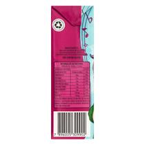 Néctar misto de uva E maçã tial caixa 200ML