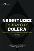 Negritude em tempo de cólera relações étnico raciais no brasil contemporâneo