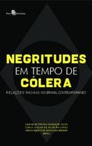 Negritudes em Tempo de Cólera: Relações Raciais no Brasil Contemporâneo
