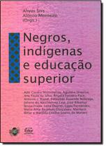 Negros, Indígenas e Educação Superior