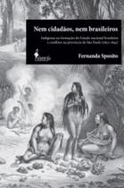 Nem cidadãos, nem brasileiros: indígenas na formação do estado nacional brasileiro e conflitos na província de são paulo (1822-1845) - ALAMEDA