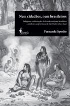 Nem cidadãos, nem brasileiros: indígenas na formação do estado nacional brasileiro e conflitos na província de são paulo (1822-1845)