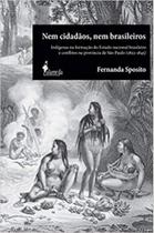 Nem cidadãos, nem brasileiros: Indígenas na formação do Estado nacional brasileiro e conflitos na província de São Paulo - ALAMEDA