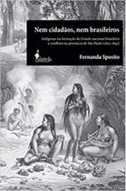 Nem cidadãos, nem brasileiros: Indígenas na formação do Estado nacional brasileiro e conflitos na província de São Paulo