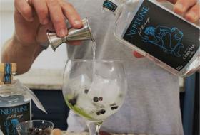 neptune london dry gin 700ml garrafa