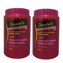 Neutralizante Universal 3 em1 Shambelle 1Kg (2 Unidades)
