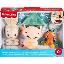 Newborn Toys Conjunto Muitos Sentidos C/4 HRB17 Fisher Price