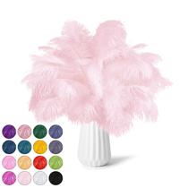 NEWONG, 30 peças de penas de avestruz rosa claro, artesanato de 23 a 30 cm