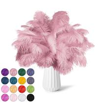 NEWONG, 30 peças de penas de avestruz rosa peônia, 23-30 cm a granel