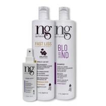 Ng De France Kit Fast Liss 1L + Spray Thermo + Sh. Silver 1L Ng De France Kit Fast Liss 1L + Spray Thermo + Sh. Silver 1L