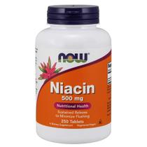 Niacina 500mg NOW - Suplemento de Liberação Sustentada (Vitamina B3)