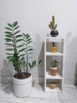 Nicho com Divisórias, MDF Branco Suspenso com 50cm - Cozinha, Banheiro, Quarto, Sala, Quarto infantil
