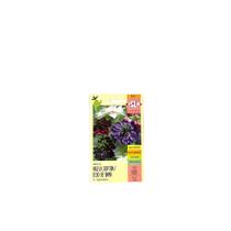 Nigela Sortida/ Dedo de Dama - 300mg de Sementes Nigela Sortida/ Dedo de Dama - 300mg de Sementes