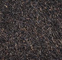 Niger 1Kg Niger 1Kg
