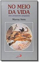 NO MEIO DA VIDA: UMA PERSPECTIVA JUNGUIANA -