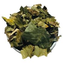 Nogueira Folha 100Gr