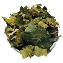 Nogueira Folha 1Kg (Juglans regia) Nogueira Folha 1Kg (Juglans regia)