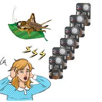 Noise Maker Week Adult Prank Cricket Noise Maker (pacote com 6)