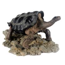 Nomoypet Enfeite Tartaruga Galapagos 15x9,5x9cm A8