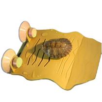 Nomoypet nf-02 yellow deck c/ventosa 15,3x11x6,5cm Nomoypet nf-02 yellow deck c/ventosa 15,3x11x6,5cm
