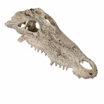 Nomoypet ns-72 enfeite monster head resina - un Nomoypet ns-72 enfeite monster head resina - un