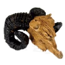 Nomoypet ns-92 cranio bode 5x4,5x2,5cm