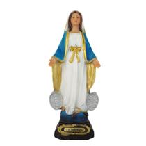 Nossa senhora medalha milagrosa em resina Nossa senhora medalha milagrosa em resina
