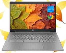 Notebook HP Chromebook 14" HD Intel Celeron 4 GB RAM 192 GB