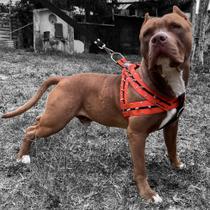 Nova Coleira Peitoral Para Cachorro Super Resistente Com Spike Dogvix