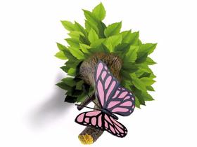 Nova Luminária Borboleta Butterfly Night Light 3d Decoração