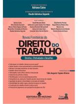 Novas fronteiras do direito do trabalho - direitos, efetividade e desafios Novas fronteiras do direito do trabalho - direitos, efetividade e desafios