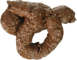 Novidades falsas do fórum Chunky Dog Doo