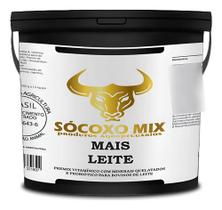 Nucleo Bovinos Leite Vacas Lactação Suplemento Minerais 10kg