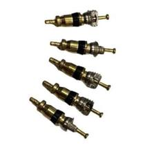 Nucleo de Valvula R12 Pacote com 10 peças