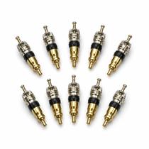 Nucleo de Valvula R12 Pacote com 10 peças Nucleo de Valvula R12 Pacote com 10 peças