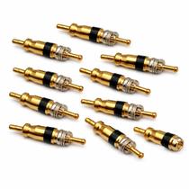 Nucleo de Valvula R12 Pacote com 10 peças