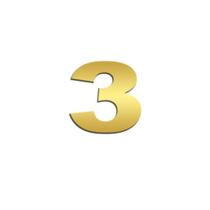 Número 3 (três) Potência Para Scania NTG Inox Dourado